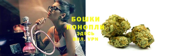 шишки Балахна