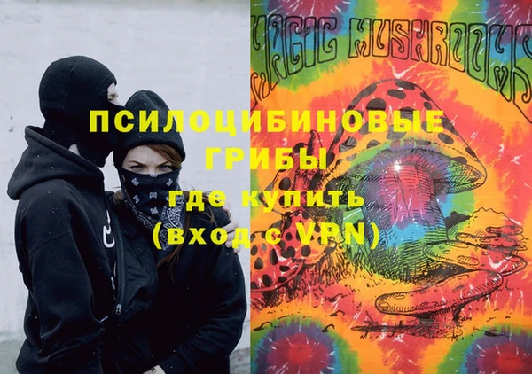 шишки Балахна