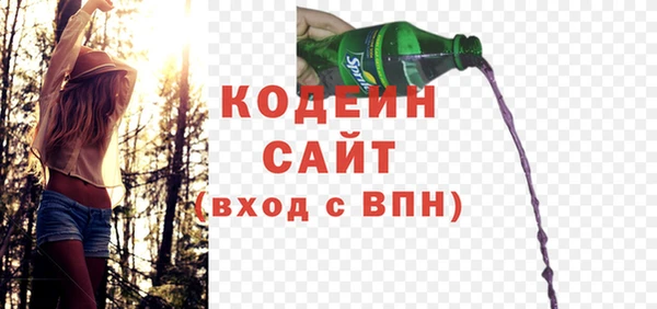 шишки Балахна