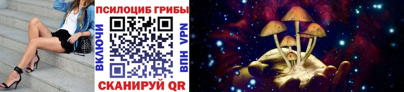 Галлюциногенные грибы Psilocybe  Купить где  Нюрба 