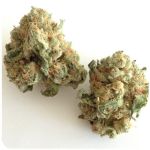 Шишки "White Widow"  (Белая вдова)  Гидропоника -  Бошка VHQ в Нюрбе